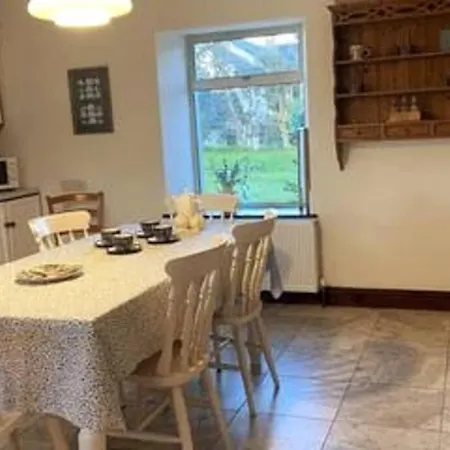 Baytree גאריבו